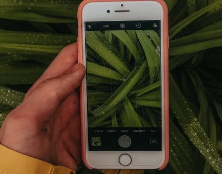 Identifique plantas facilmente com seu celular