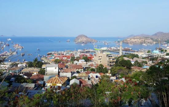 Aplicativo para ver sua cidade por satélite