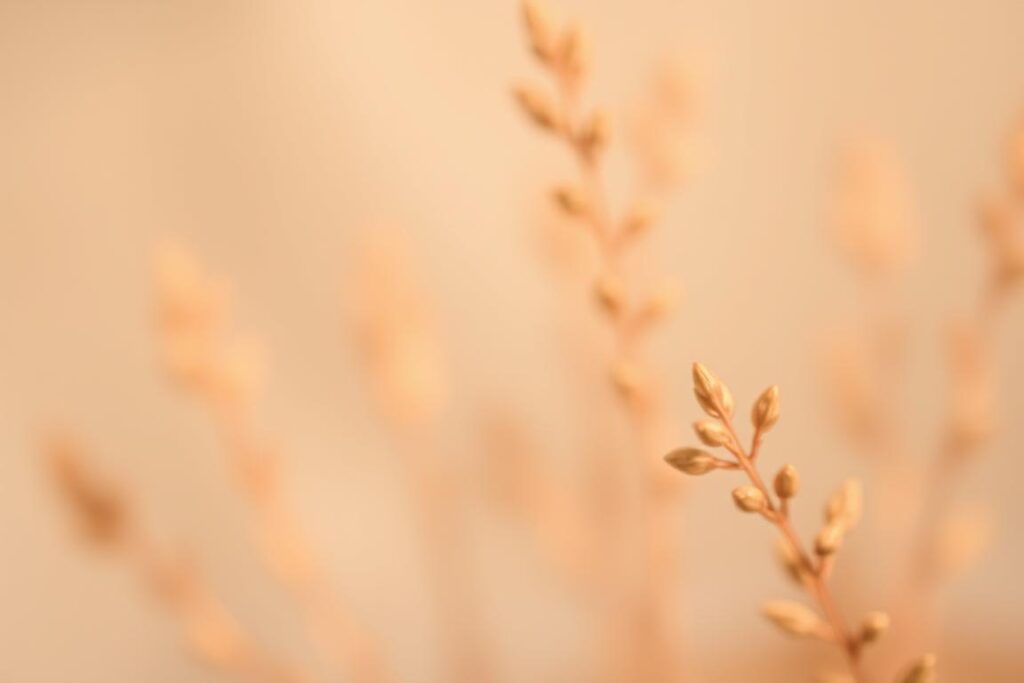 A serene, blurred background of soft, organic shapes and textures in muted, earthy tones. The foreground features a subtly defocused, visually appealing yet unobtrusive focal point, possibly a plant or natural element, gently illuminated by warm, diffused lighting that creates a sense of depth and atmosphere. The overall composition evokes a calming, contemplative mood, suitable for highlighting photo editing tools that allow users to enhance or manipulate backgrounds in their images.