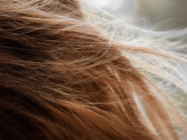 Simule Novos Visuais de Cabelo com IA