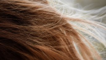 Simule Novos Visuais de Cabelo com IA