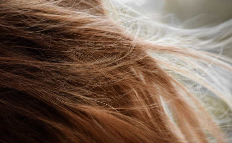 Simule Novos Visuais de Cabelo com IA