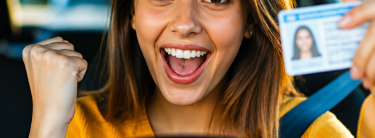 Pratique para o Exame de Trânsito Online
